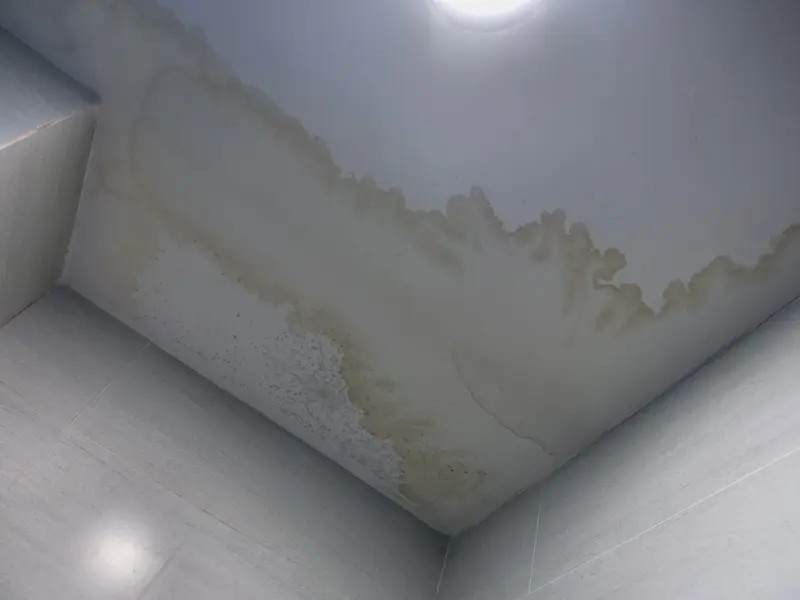 Mold prevention after water damage Buckeye AZ